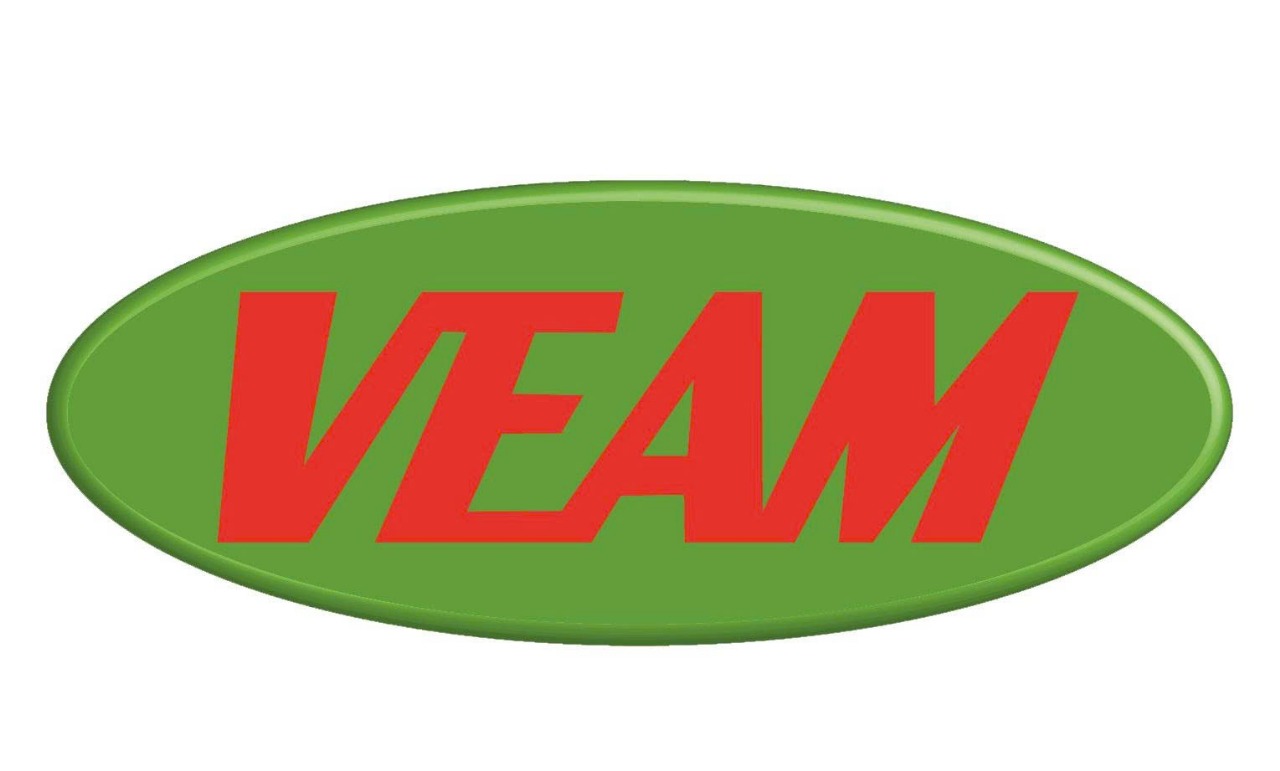 News Company